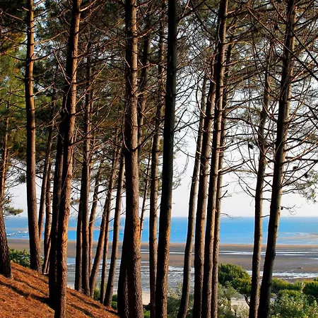 Studio Cosy A Arcachon: Terrasse, Parking, Proche Plage Et Commerces - Fr-1-420-146 Apartment